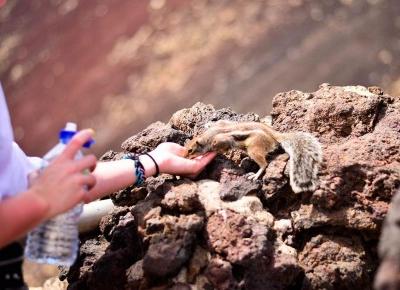 Fuertaventura - Zdobyliśmy wulkan Calderon Hondo!